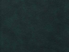 Leather Upholstery 南亞呼吸系列 皮革 沙發皮革 3852 墨綠雲彩